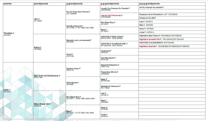 Screen Shot 2023-03-14 at 08.03.14